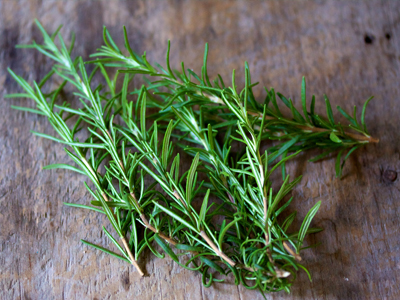 Which Herbs To Plant In Spring - Food For Eyes - Spec-Savers South Africa
