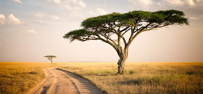 A guide to travelling through Africa