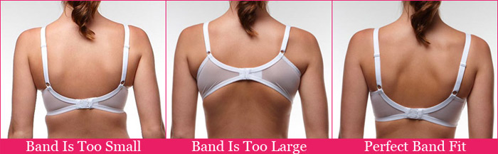 https://www.specsavers.co.za/images/cmsimages/images/Blog/bra-band-size.jpg