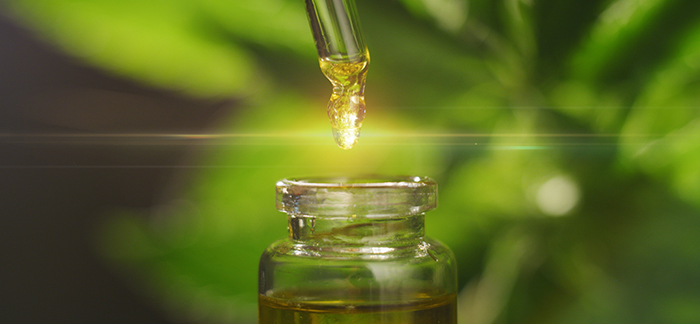 All the talk on the “budding” new topic of cannabis oil