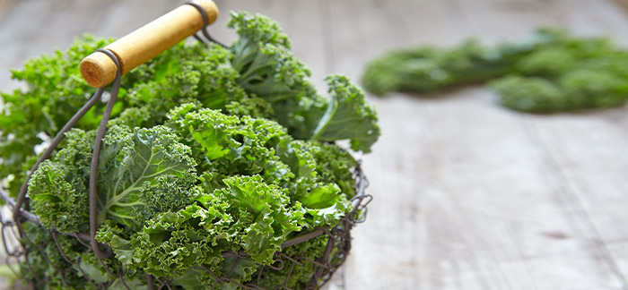 Miracle ingredient: versatile kale is a leafy green superfood
