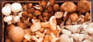 Amazing Mushrooms