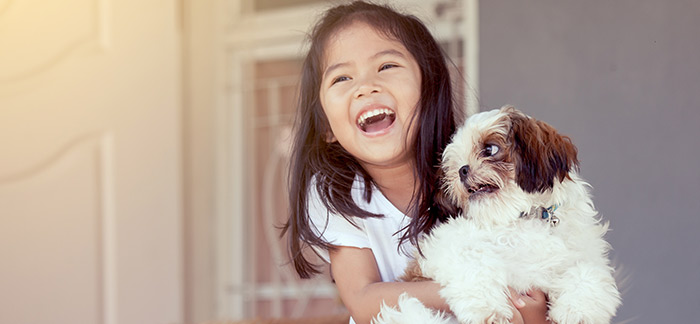 A sobering thought, before the new pet arrives!
