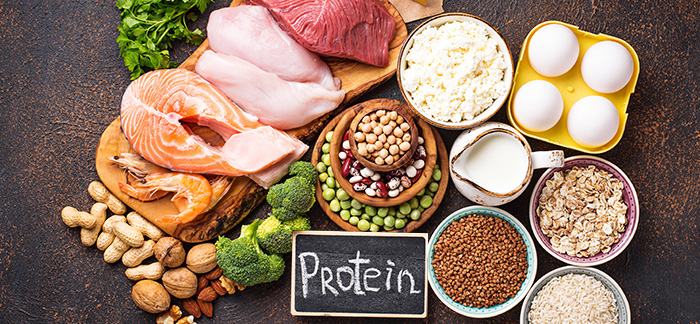 Understanding the power of protein