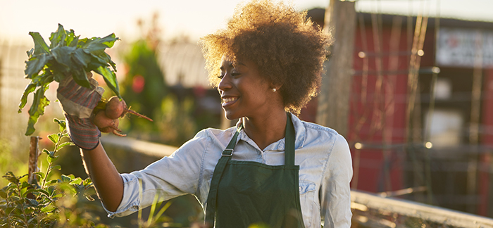 Grow your own vitamins with a veggie patch